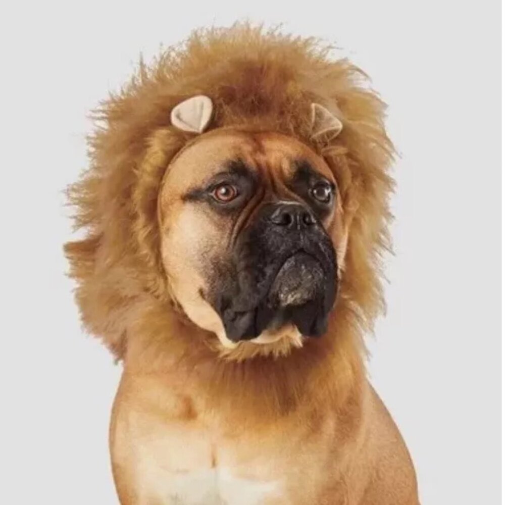 Dog Pet Target LION Mane Hat Hood Cuffs Halloween Costume Size L/XL Faux Fur NWT